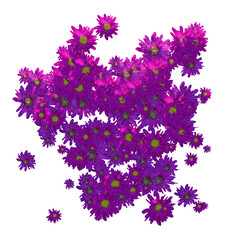 Summer Petal Design. Flowers Falling Template.