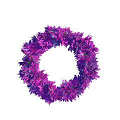 Spring wreath made of colorful chamomile. Round frame on transparent