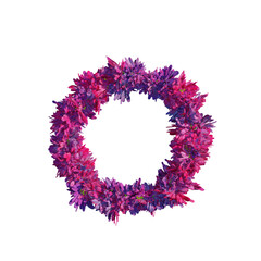 spring wreath of colorful chamomile isolated on transparent background