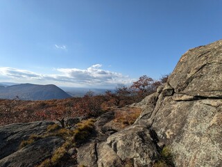 Fototapeta premium Foliage in Breakneck Ridge, Cold Spring, New York - October 2023
