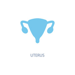 Uterus concept line icon. Simple element illustration. Uterus concept outline symbol design.