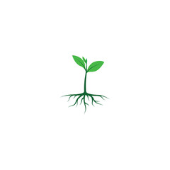 Growing plant icon vector graphics