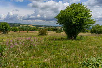 Rh&ouml;nlandschaft am Heidelstein in der Langen Rh&ouml;n, Biosph&auml;renreservat Rh&ouml;n, Bayern, Hessen, Deutschland.