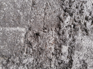 Close up of a surface concrete wall texture