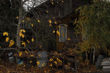 Altana drewniana żółta jesienią