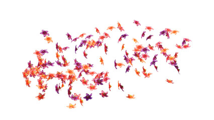 Beautiful flying lilys flowers on transparent background