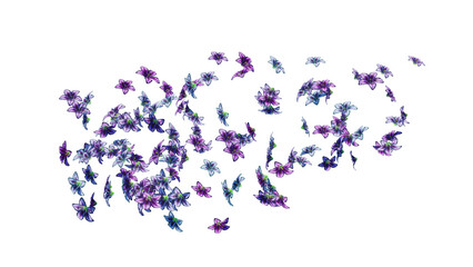 Beautiful flying lilys flowers on transparent background