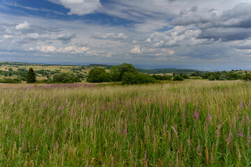 Rhönlandschaft am Heidelstein in der Langen Rhön, Biosphärenreservat Rhön, Bayern, Hessen, Deutschland.