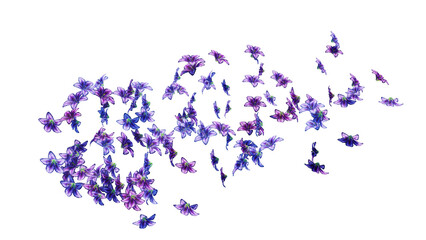 Flower Petals in the Wind. Flying petals on a transparent background