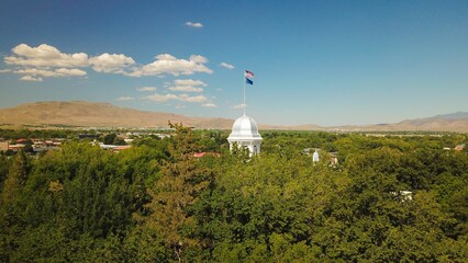 Closeup of The Captitol peaks through in Carson City, Nevada