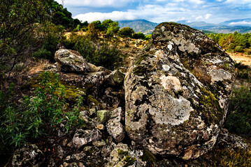 Rocas de granito con musgo y líquenes
