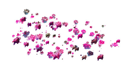 Summer Flying 3d Petals Wedding Pattern