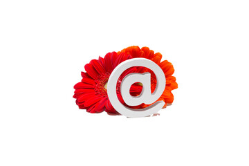 single red gerbera flower with symbol @ isolated against transparent background - obrazy, fototapety, plakaty