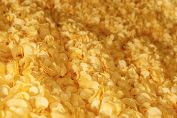 Fresh Crispy potato chips snack texture background, top view