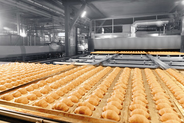 Robot hand moves french croissants into oven after proofing. Modern process food bakery industry production with automatically line conveyor