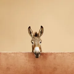 Gordijnen A photo of a donkey or mule, on a neutral beige background © Hype2Art