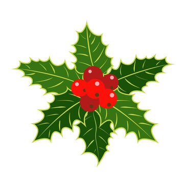 Traditional Christmas Holly leaf design element PNG file