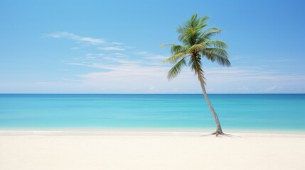Fototapeta na wymiar palm tree on the beach.