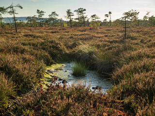 Das Naturschutzgebiet 