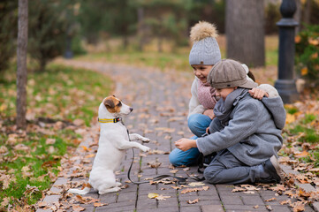 Fototapeta premium Caucasian boy and girl posing sitting on sidewalk with jack russell terrier dog in park in autumn.