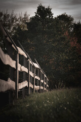 Autumn in dark tones. Fence. Bory Tucholskie. Poland