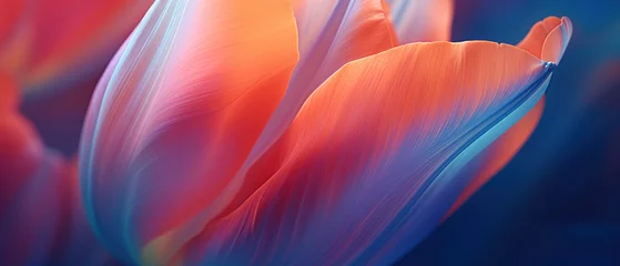 Tuinposter Macrofotografie Radiant red tulip texture captured in a macro shot.