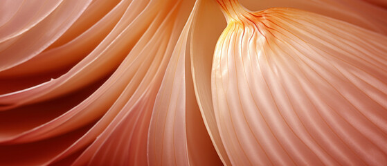 Detailed close-up of onion's natural pattern and sheen. - obrazy, fototapety, plakaty