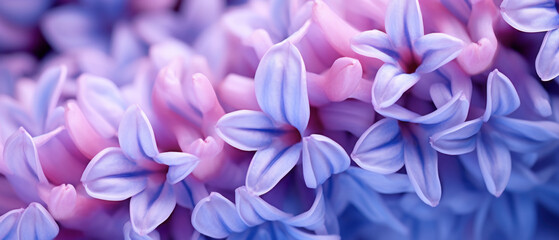 Close-up of hyacinth flower displaying vibrant textures.