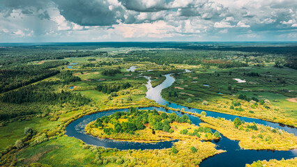 Drone Aerial View Spring Forest Woods And Curved River Marsh. Springtime Landscape. Top View From...