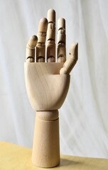 Vertical of a wooden mannequin hand on a white background