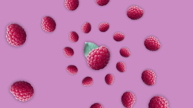 Stop motion Cut and whole Raspberry appear and disappear on pastel background. High quality video 4K. Detailed stop motion video. Background or wallpaper in food and drinks videos.