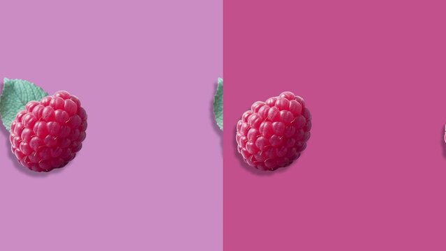 Stop motion Cut and whole Raspberry appear and disappear on pastel background. High quality video 4K. Detailed stop motion video. Background or wallpaper in food and drinks videos.