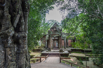 Fototapeta na wymiar Ta Prohm Temple