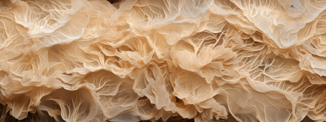 Close-up of mycelium texture.