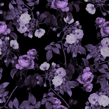 Seamless pattern with purple roses