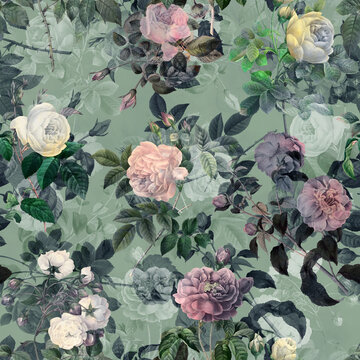 Flower and plant. Floral classic seamless print in shabby chic style. Rose Flowers pattern.