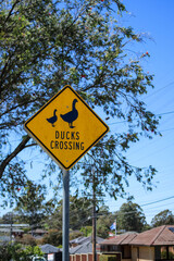 Yellow warning sign ducks crossing