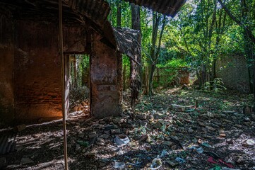 Derelict structure situated in a wooded area surrounded by debris.