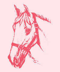Vector  illustration of a bright and vibrant red horse against a light pink background