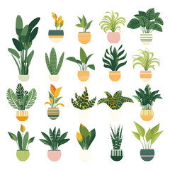 House Plants set flat design illustration