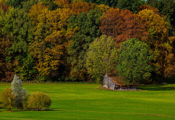 Herbst in Bad W&ouml;rishofen