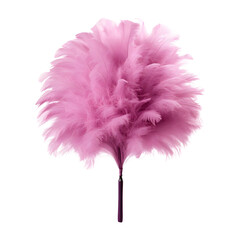 Pink feather duster (PNG) isolated on a transparent and white background