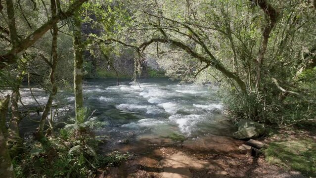 Rapids at Caracol Park - Canela, Rio Grande do Sul, Brazil