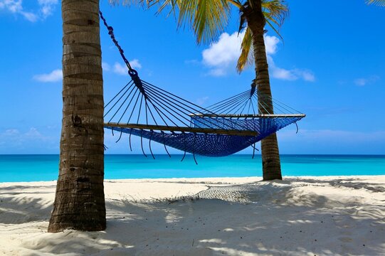 Hammock between two palm trees on the beach in Kendwa beach, Zanzibar