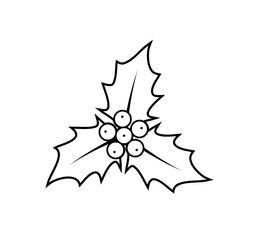 christmas holly isolated on white background