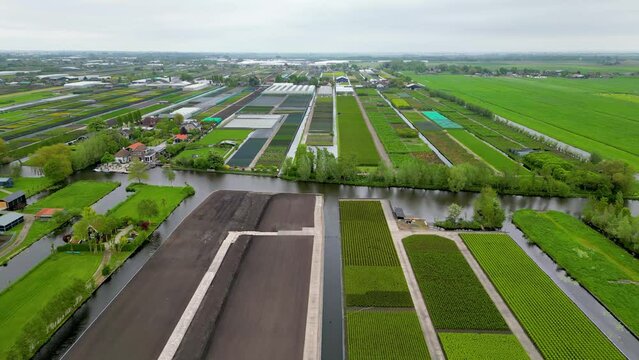 Aerial view of pattern of fields and farms near Bodegraven city in the Netherlands.