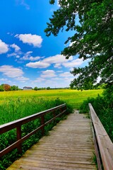 Fototapeta na wymiar a wooden bridge crosses over a green field of grass under a blue sky
