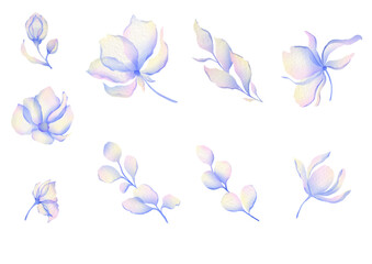 Set Watercolor flowers, hand painted botanical illustrations bundle. Flower set for wedding invitation, stationery and print