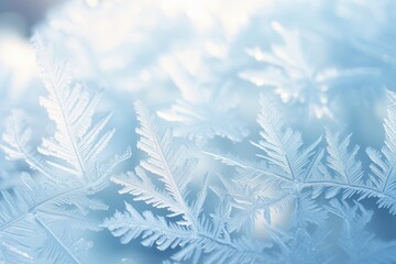 A Magical Winter's Tale Unfolding: Close-Up View of Intricate Frost Patterns Adorning a Window on a Crisp Christmas Morning