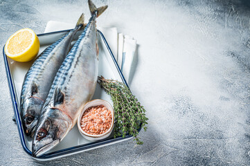 Raw mackerel scomber fish with ingredients for cooking in baking dish. White background. Top view....